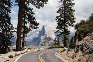 Road winding through Yosemite, California, which is location for 2022 AEP Conference.