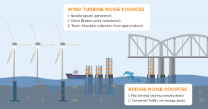 Illustration depicting sound sources when modeling underwater acoustics (sound). The illustration depicts the primary sound sources from offshore wind turbines and pile driving during bridge construction.