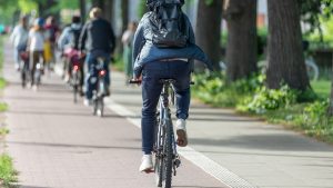 Bicyclists ride along a bike path.