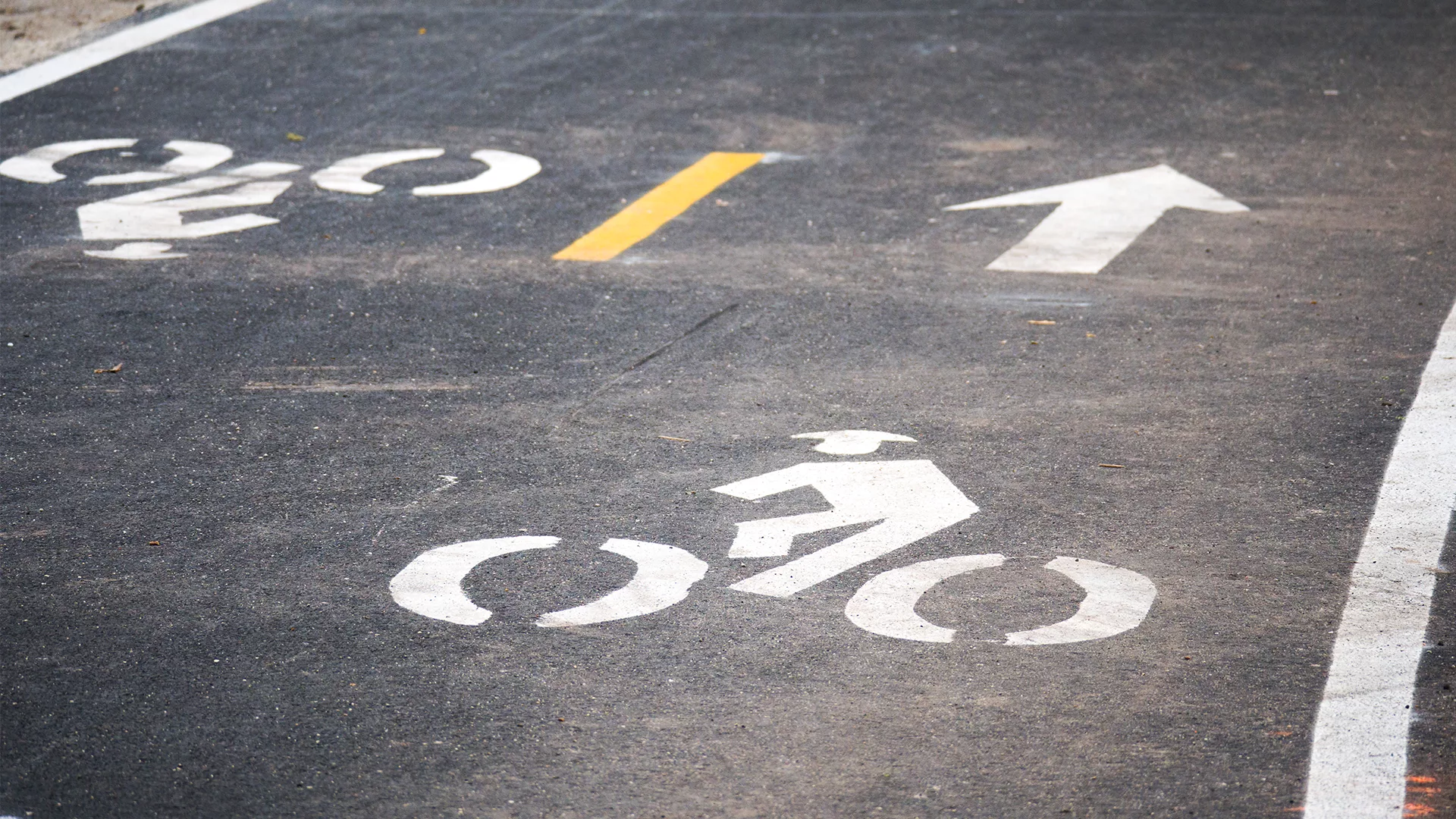 This image shows a protected bike lane on a city street in Chicago.